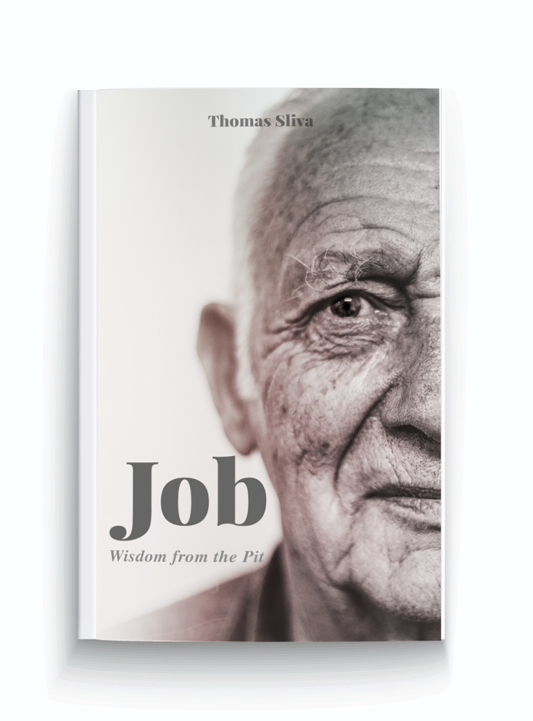 book-cover-job-wisdom-from-the-pit