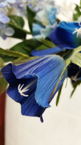 blue flowers